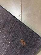 Exquisite Gabeh Rug 9.2x12