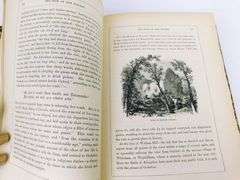 1859 Hall's Book of the Thames - Rare