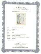 Highly Collectible Salvador Dali Original Color Engraving from The Divine Comedy