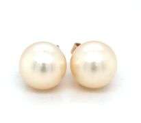 7mm Cultured pearl stud earrings in 14kt yellow gold