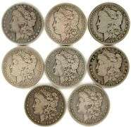 8 Diff. 19th Century Morgan Silver Dollars in circ