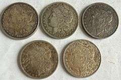 Five Toned Morgans