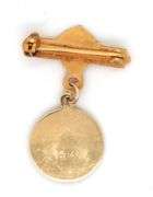 Sweet 14K YG Guardian Angel Pin