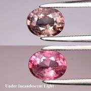 Untreated! 1.30ct color change Garnet! It's real!