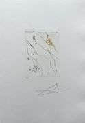 Highly Collectible and Rare Salvador Dali Hand-signed Original Engraving