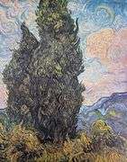 Vincent Van Gogh, Cypresses