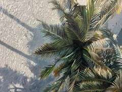 Enchanting Original on Canvas William Mason Tropical Oasis