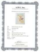 Collectible Original Color Engraving by Salvador Dali from The Divine Comedy