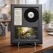 Real Fossilized Raptor Tooth with COA