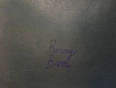 Playful Original by Ronny Barr