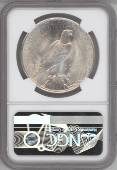 1925 Peace Silver Dollar NGC MS64 Near Gem BU | Brilliant Luster