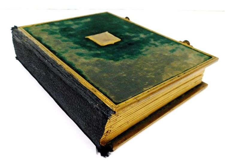 1860 French Velvet Album with Hand Colored Flower Cards