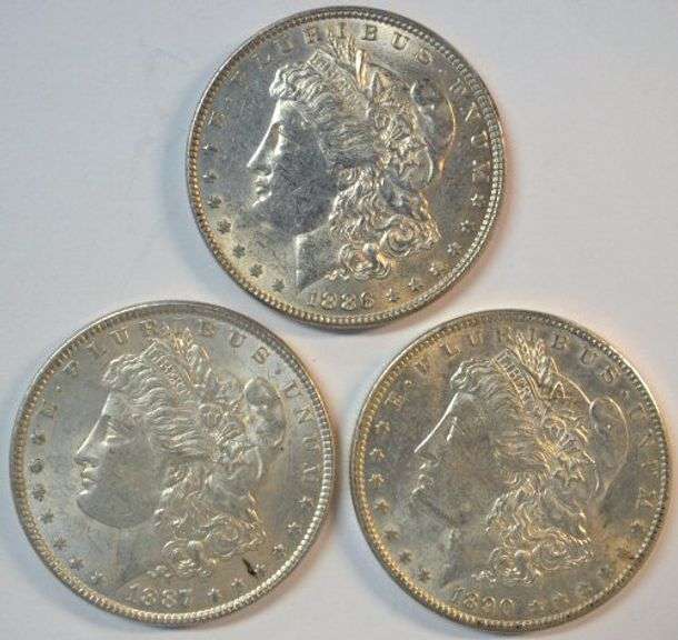 Creamy-white run of 3 Diff. AU/BU Morgan Silver Dollars
