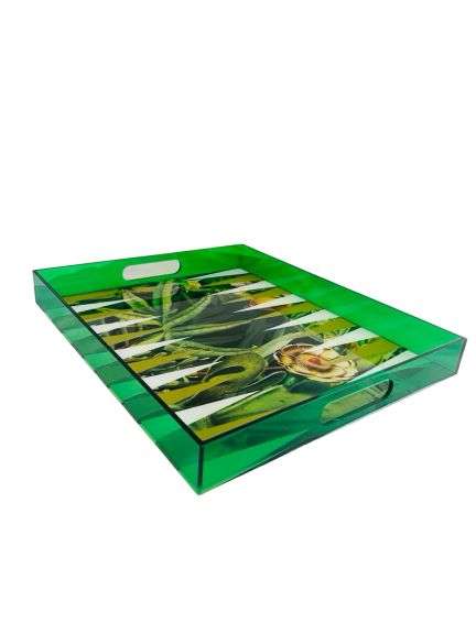 Game, Backgammon Tray, Tropical Green