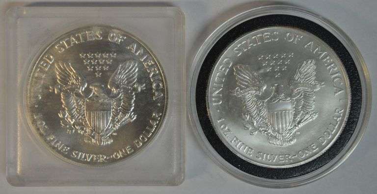 Superb Gem BU 1991 & 2004 $1 Silver Eagle coins