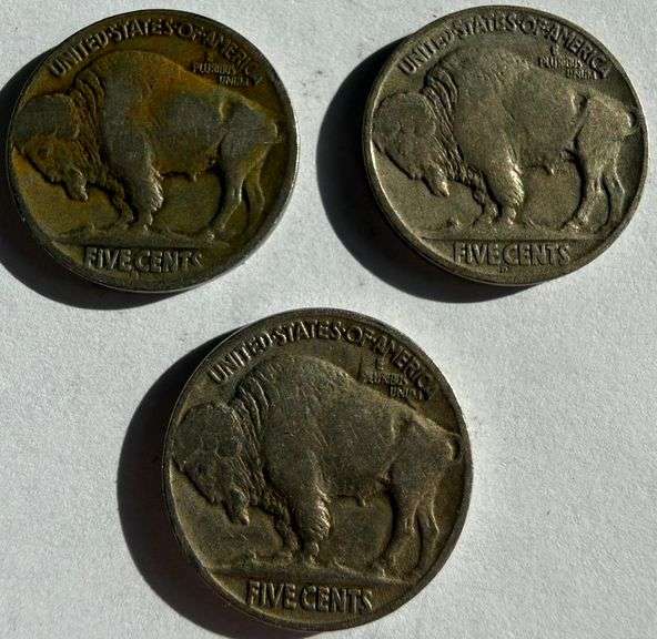 1914 S 1917 D 1921 Buffalo Nickels