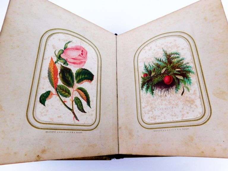 1860 French Velvet Album with Hand Colored Flower Cards