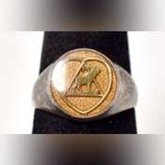 AI-Anon Ring in Sterling Silver.