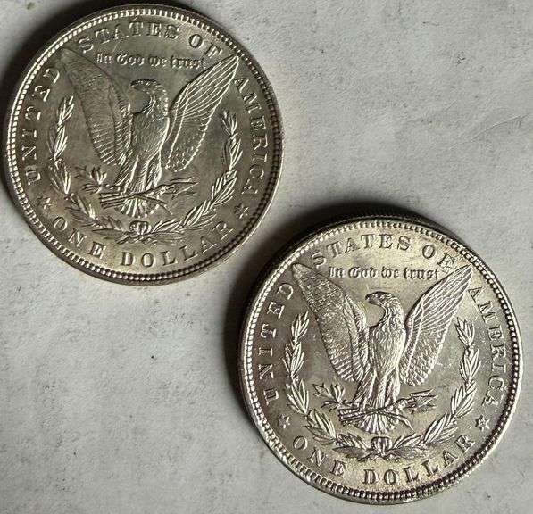 Two Raw 1896 Frosty White BU Morgans.