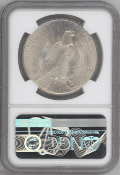 1924 Peace Silver Dollar NGC MS64 Near Gem BU | Brilliant Luster