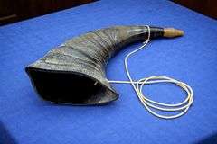 War Horn Real Buffalo Horn Battle Trumpet
