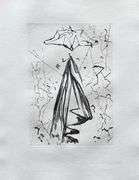 Highly Collectible and Rare Salvador Dali Wood Engraving from Le Tricorne