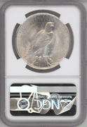 1925 Peace Silver Dollar NGC MS64 Near Gem BU | Brilliant Luster