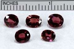 Berry Bright Rhodolite - Lot of 5