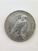 1923 Silver Peace Dollar