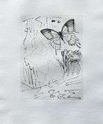 Highly Collectible and Rare Salvador Dali Wood Engraving from Le Tricorne