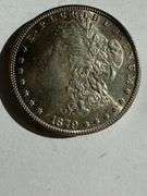 1879 S Near Cameo BU Morgan Dollar