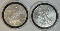 Superb Gem BU 2004 & 2013 $1 Silver Eagle coins