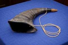 War Horn Real Buffalo Horn Battle Trumpet