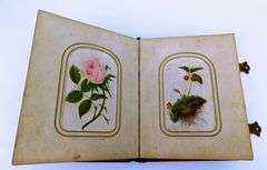 1860 French Velvet Album with Hand Colored Flower Cards