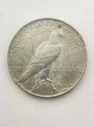 1923 Silver Peace Dollar
