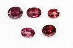 Succulent Natural Rhodolite - Lot of 5