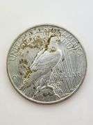 1923 Silver Peace Dollar