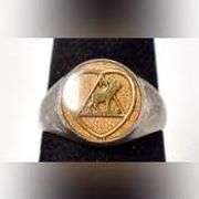 AI-Anon Ring in Sterling Silver.