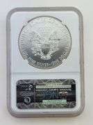 2013-(W) American Silver Eagle, NGC MS70 ER