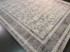 Magnificent Silky look Rug 8x11