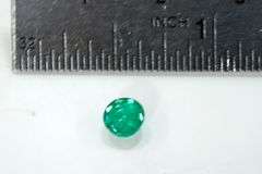 Succulent Natural Emerald