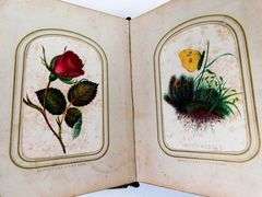1860 French Velvet Album with Hand Colored Flower Cards