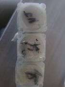 3 set of uncirculated state quarters, 42 NJ, 42Penn, 42 Delaware