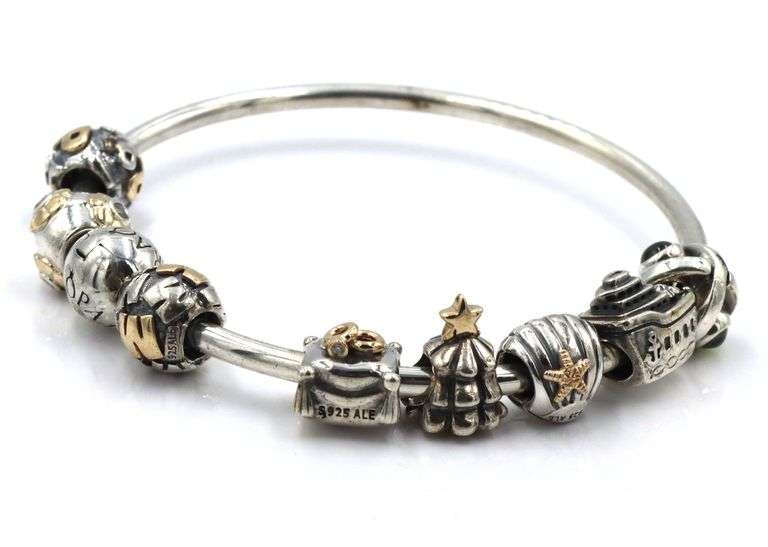 Pandora charm bangle bracelet with 8 charms