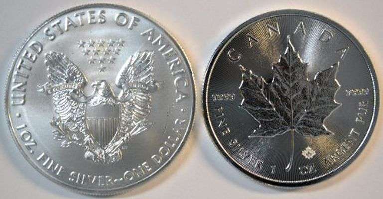 Superb Gem BU $1 American Silver Eagle & $5 Canadian Maple Leaf from 2019