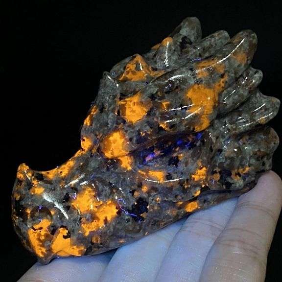 Natural Glowing Dragon Skull Hand Carved