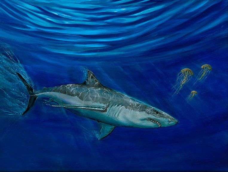 Exquisite Piece by Tom Gion