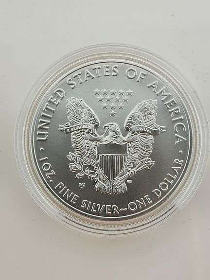 2019-W Burnished American Silver Eagle, OGP
