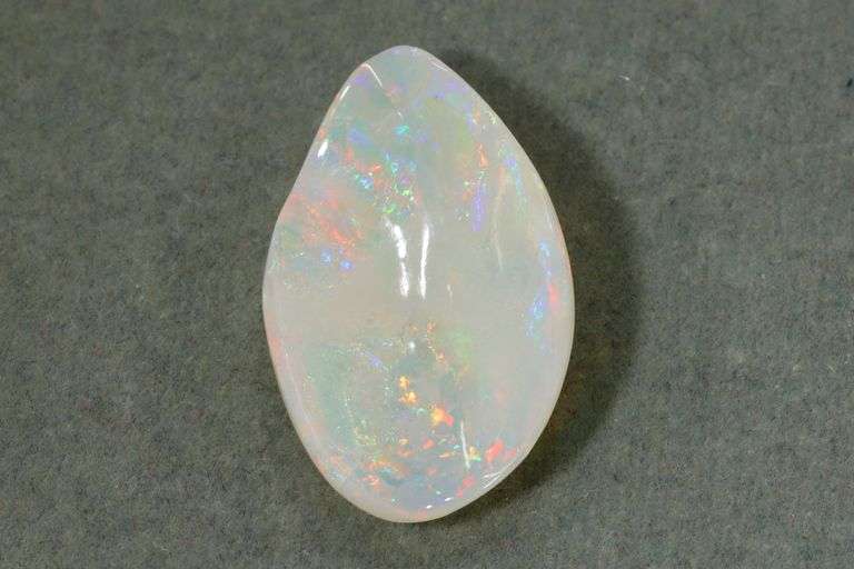 Collector's Item:  Opalized Shell