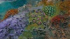 Wonderful Art by Tom Gion